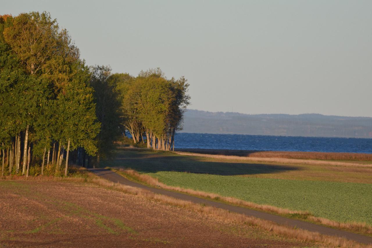 Wingarden B & B Saffle Bagian luar foto